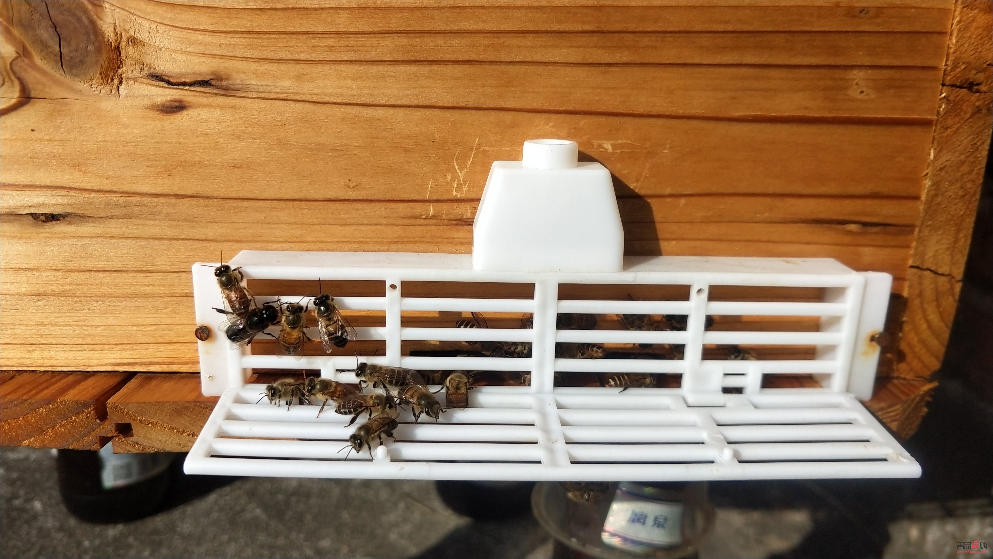 迷奇美容蜜：古法养颜的现代传承