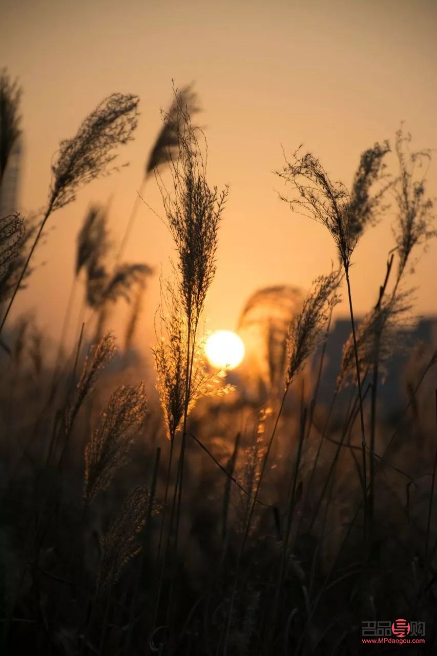 身体护理考试时间多长(身体护理考试时间多长合适)