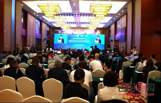 <h3>低烧护理全攻略：守护身体，远离疾病</h3>