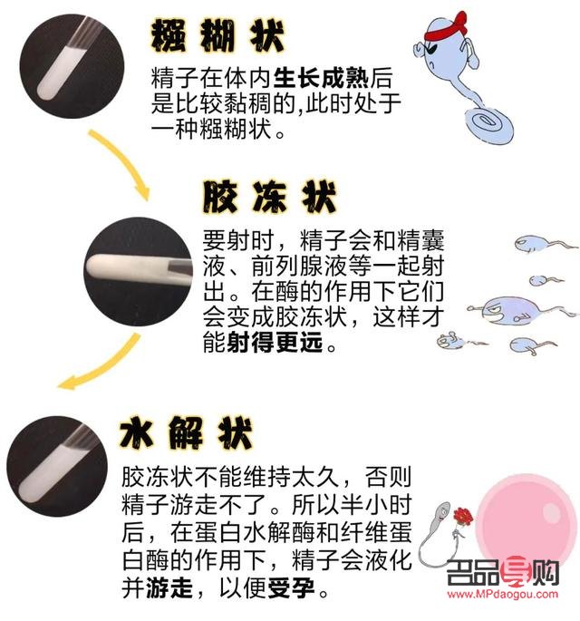男子的精子美容吗 男子的精子美容吗