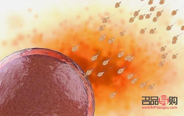 受精后怎么护理身体好(受精后怎么护理身体好呢)