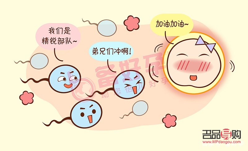 受精后怎么护理身体好(受精后怎么护理身体好呢)