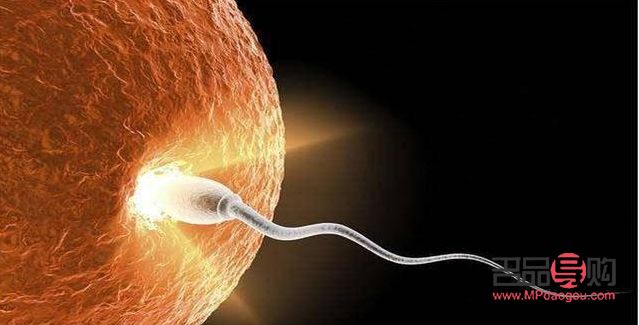 受精后怎么护理身体好(受精后怎么护理身体好呢)