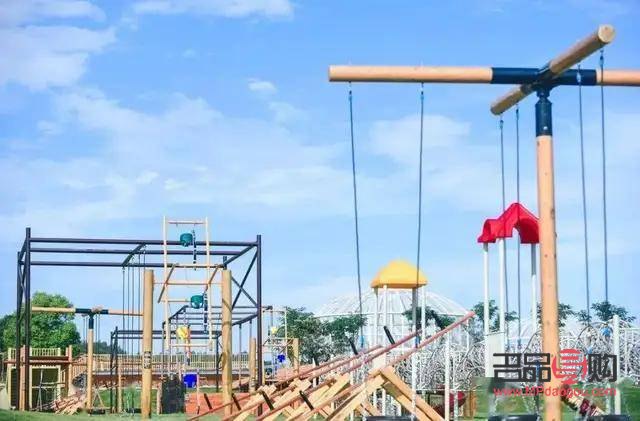 <h3>白萝卜的美容功效深度解析</h3>