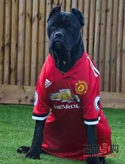 <h3>彩妆展示视频制作指南</h3>