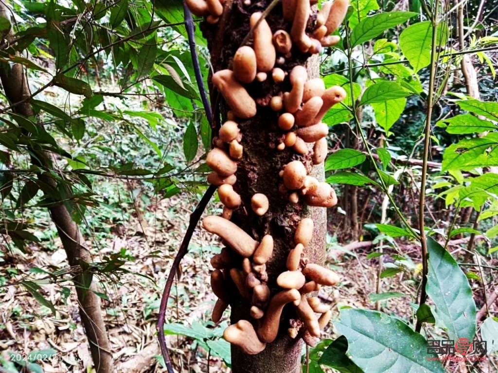 脸比较瘦小适合哪种双眼皮(脸比较瘦小适合哪种双眼皮贴) 脸比较瘦小适合哪种双眼皮(脸比较瘦小适合哪种双眼皮贴)