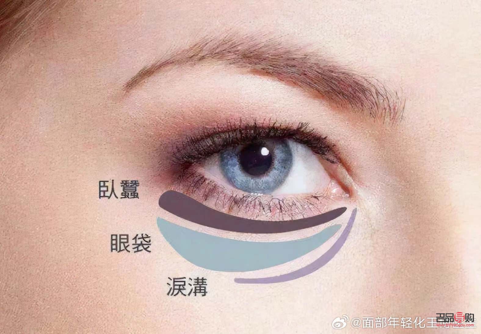 遮眼袋泪沟的化妆技巧(遮眼袋泪沟的化妆技巧的视频)