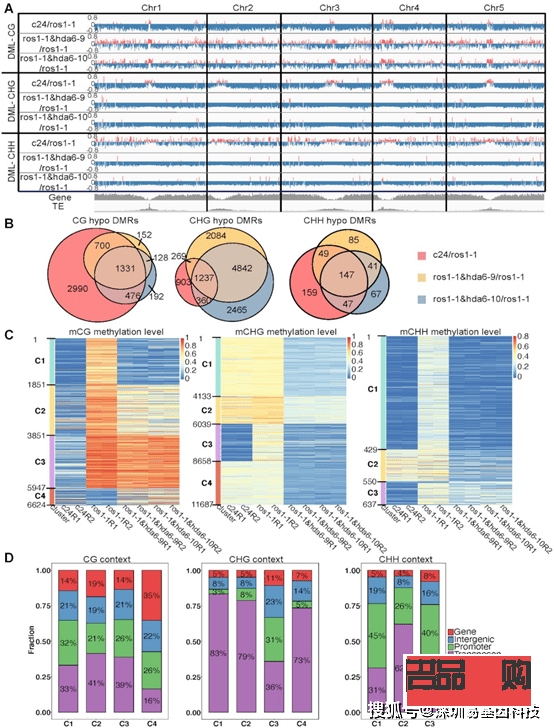 <h3>银行黄金价格与伦敦金区别详解</h3>
