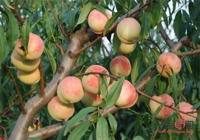 <h3>身体护理全攻略：从内到外的呵护之道</h3>