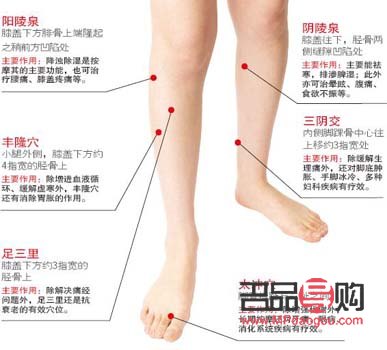 <h3>足三里穴位与美容：传统中医的智慧</h3>