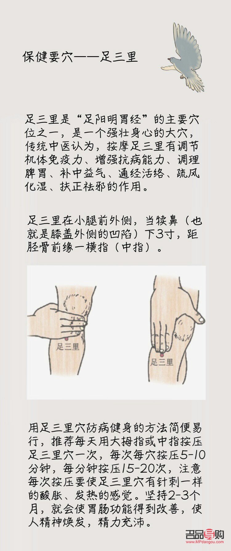 足三里穴位与美容：传统中医的智慧