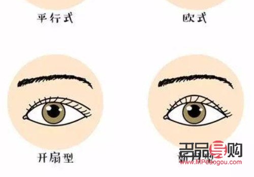 小眼综合四项都包括什么(小眼综合四项都包括什么内容)