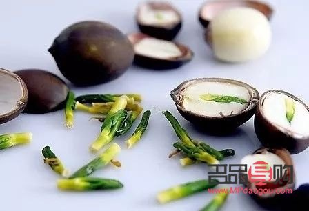 荷叶碱身体护理液的功效与作用