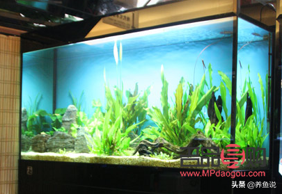 美容之光：探索光照在美容领域的奥秘