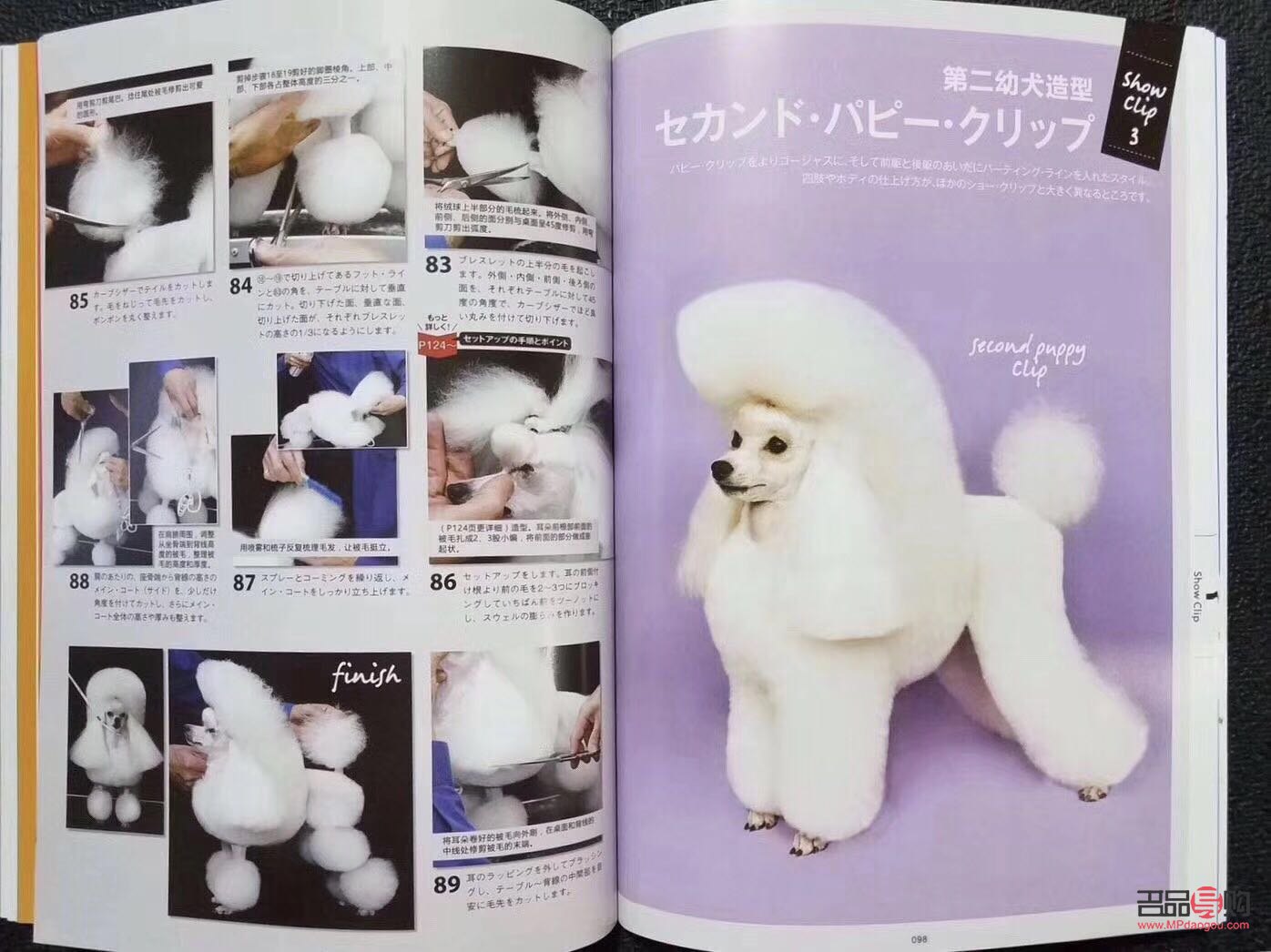 <h3>犬美容日语怎么说？学习犬美容专业术语与实用表达</h3>