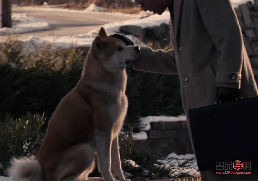 送两岁外甥什么礼物(送两岁外甥什么礼物比较好)