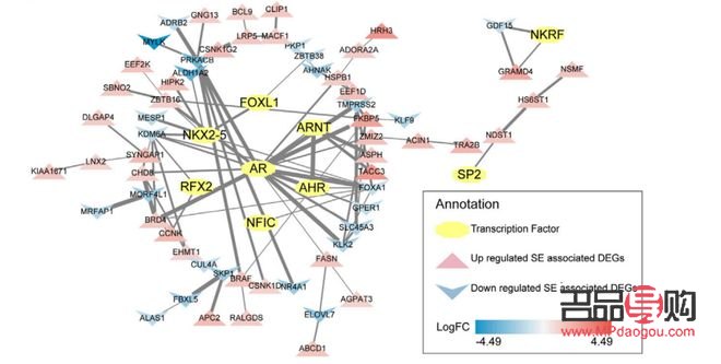 <h3>秋天美容饮食指南：滋养肌肤，吃出美丽光彩</h3>