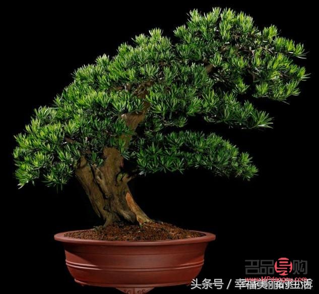 <h3>礼物的麻绳绑扎技巧视频教程</h3>