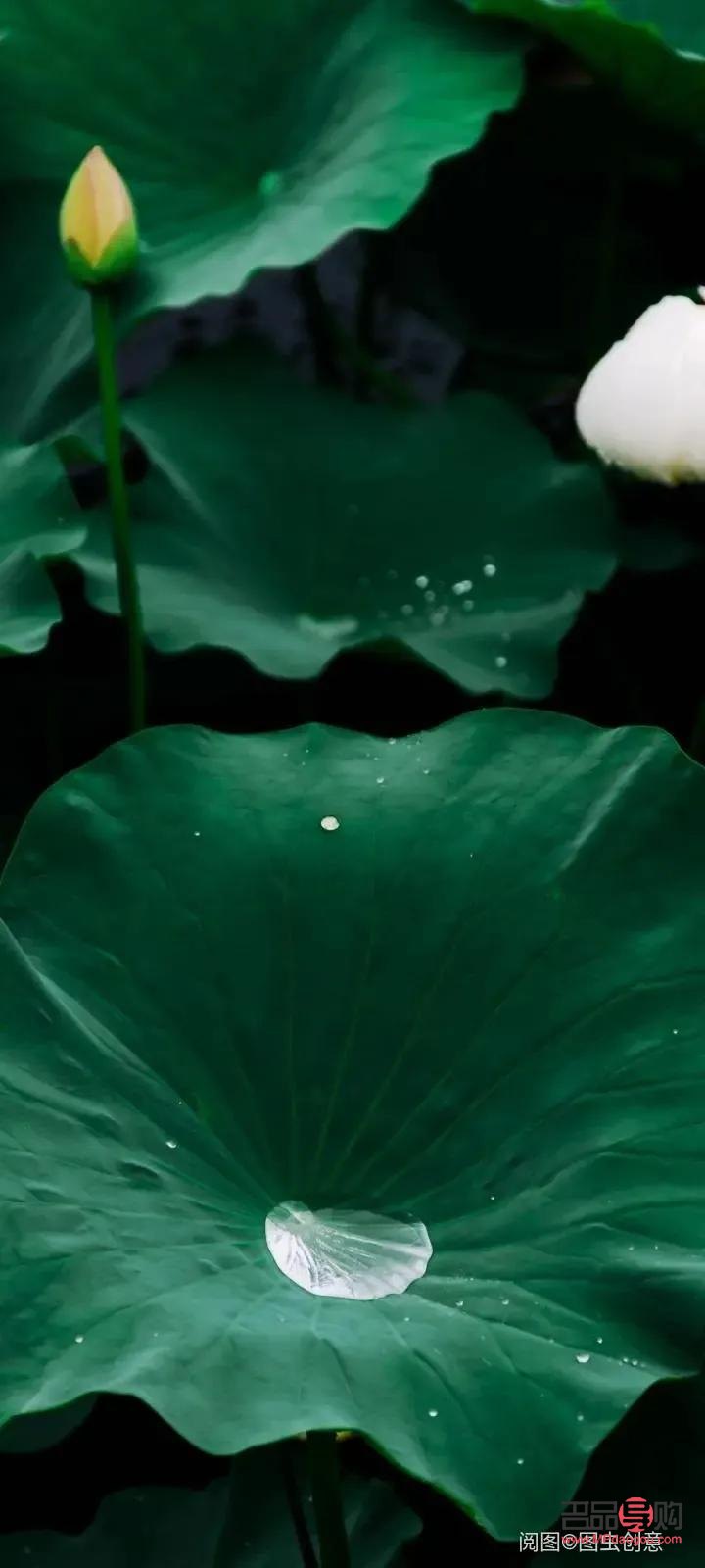 礼物珍藏文案怎么写(礼物珍藏文案怎么写好)