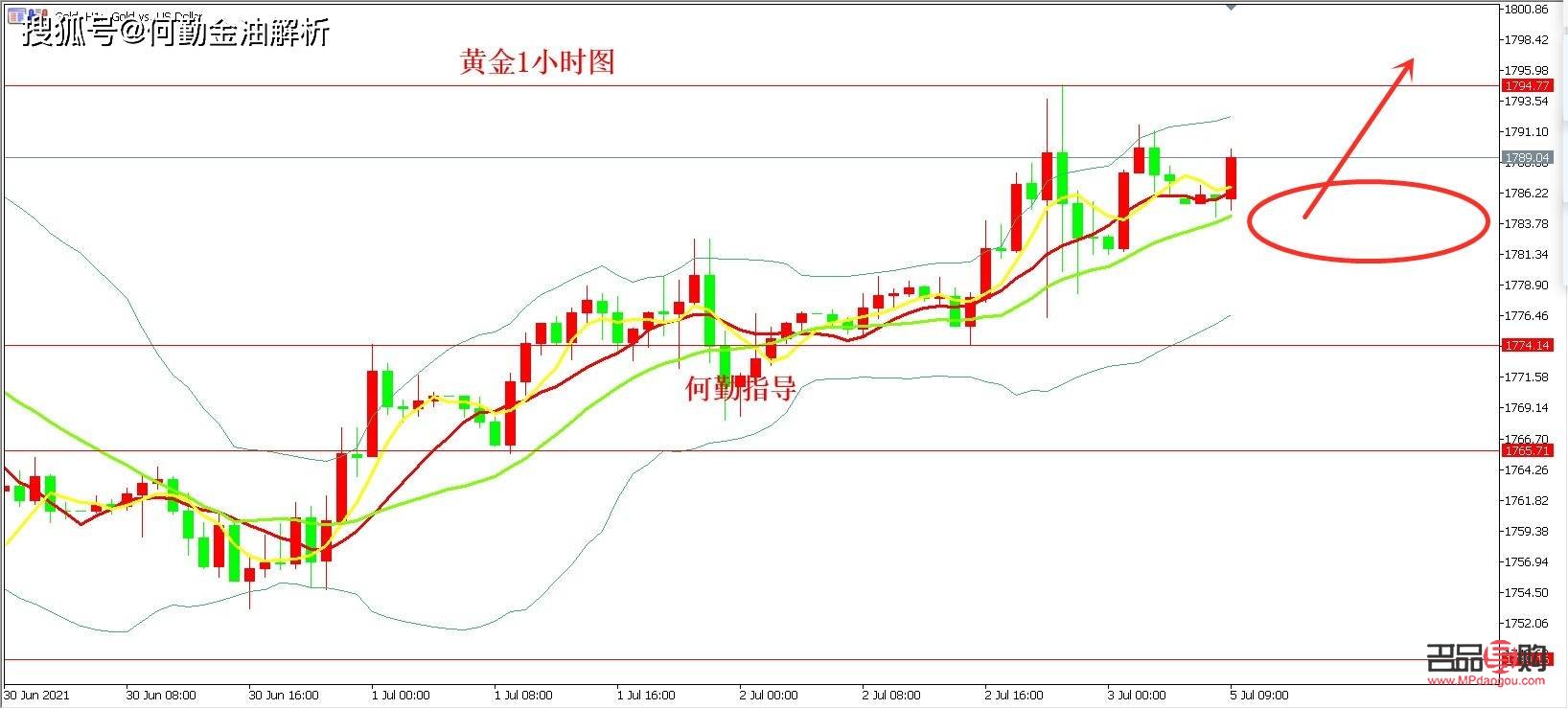 期货黄金走势分析(期货黄金走势分析图表)