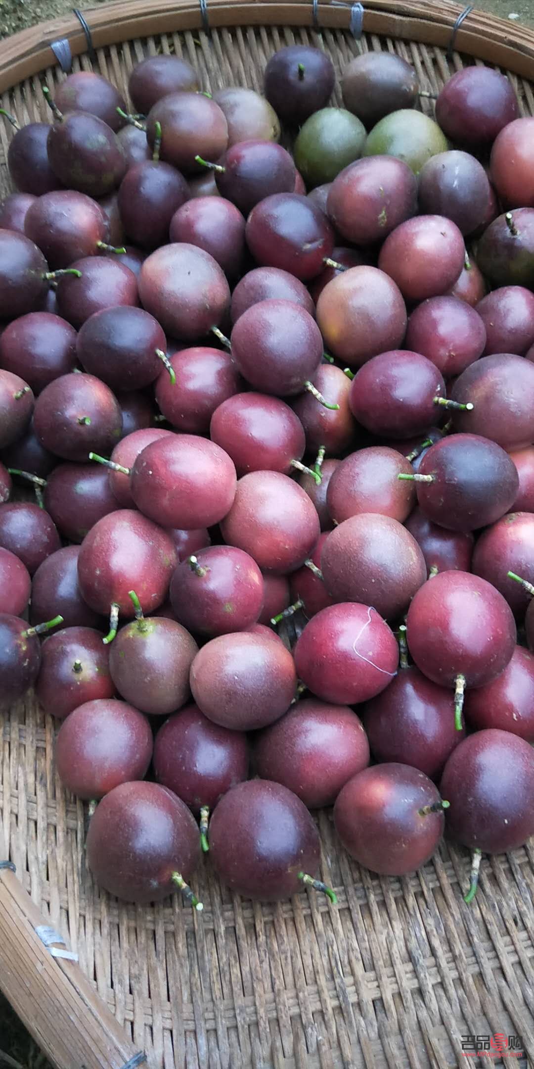 今日农业银行黄金价格(今日农业银行黄金价格查询)