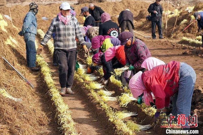 <h1>兰州周边黄金回收市场深度解析</h1>