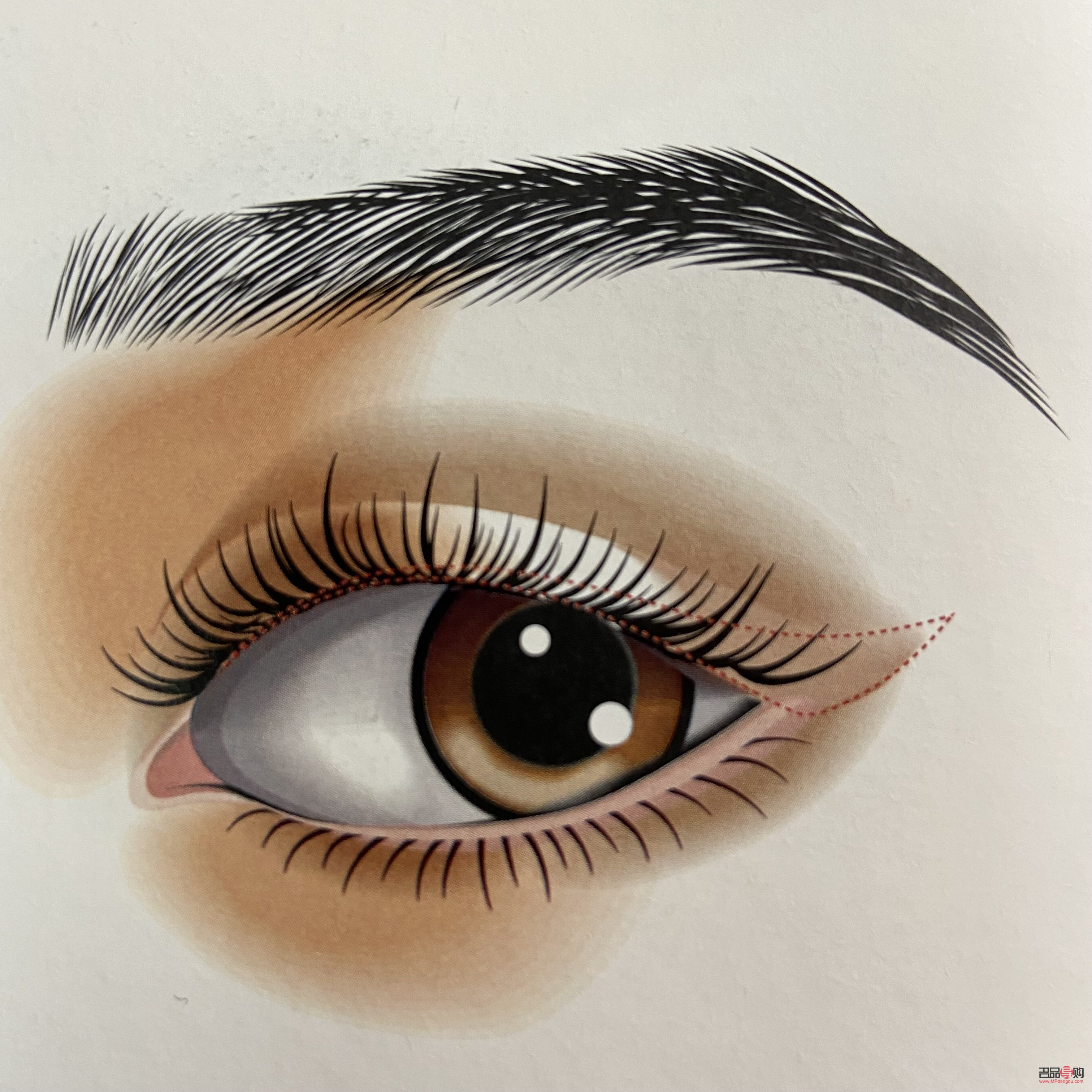 眼妆应该怎么画(眼妆应该怎么画好看)