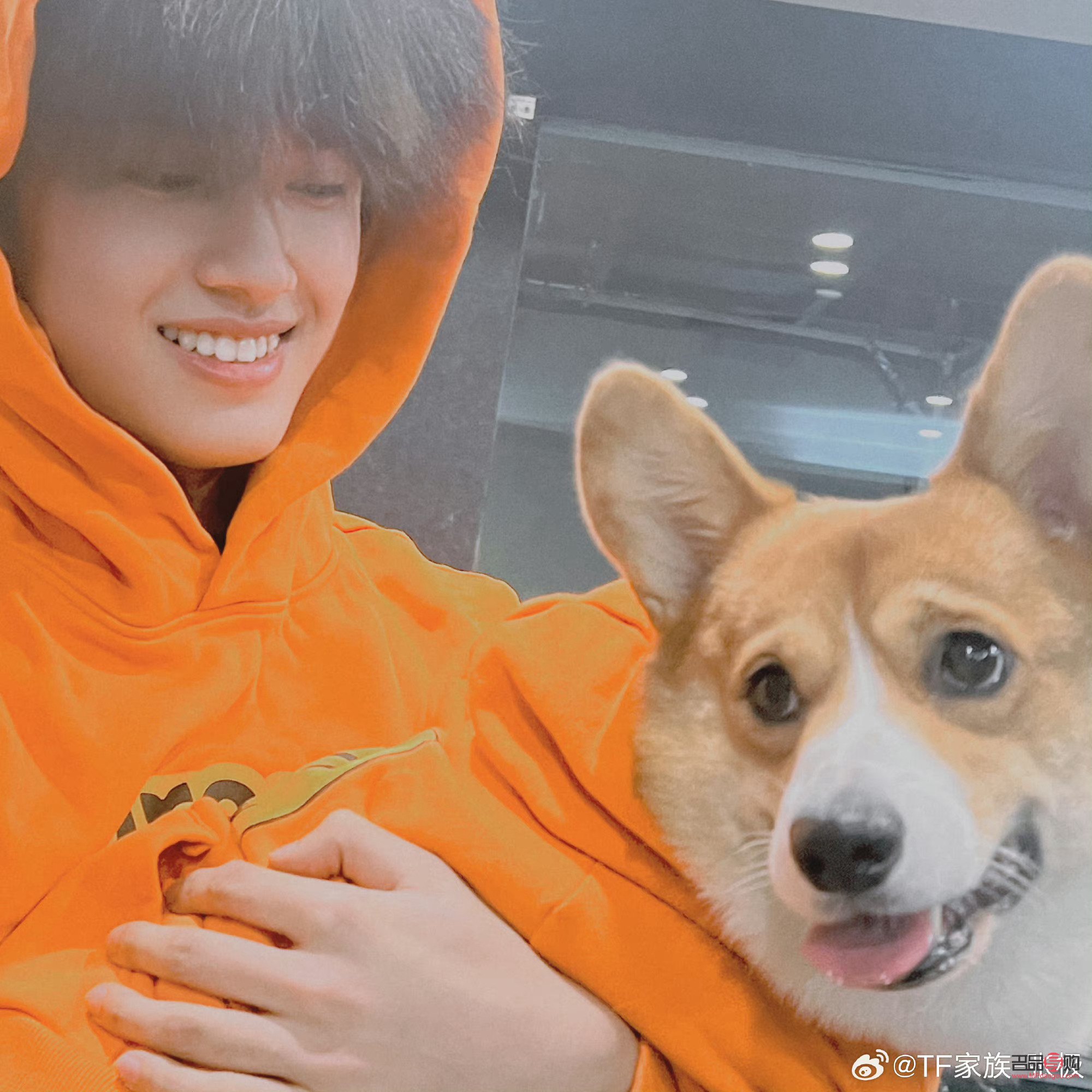 <h3>张极的心爱之物：探寻他所钟爱的礼物世界</h3>