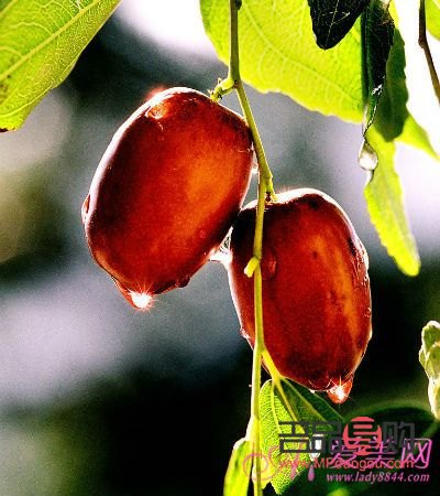 <h3>红枣美容功效深究，吃出健康美丽新篇章</h3>