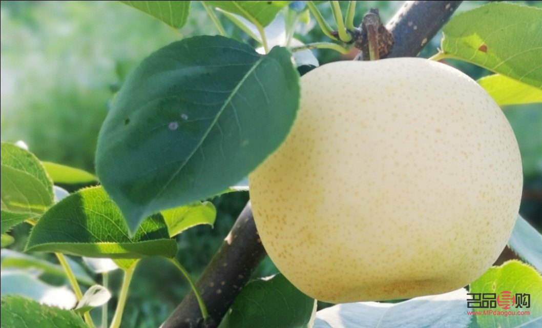 <h3>今日农业银行黄金价格查询:一克黄金多少钱?</h3> <h3>今日农业银行黄金价格查询:一克黄金多少钱?</h3>