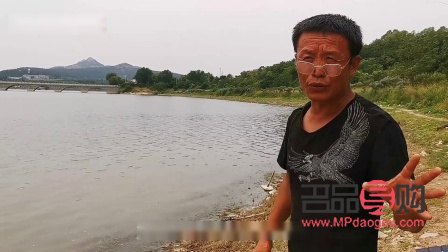 中国银行纸黄金交易停了吗(中国银行纸黄金交易时间)