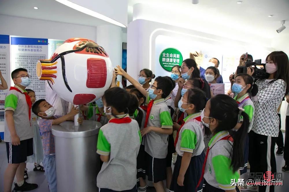 眼疗馆都有哪些项目(眼疗馆都有哪些项目名称)