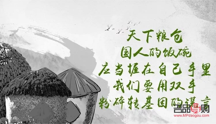 <h3>美容产品分类概览</h3>