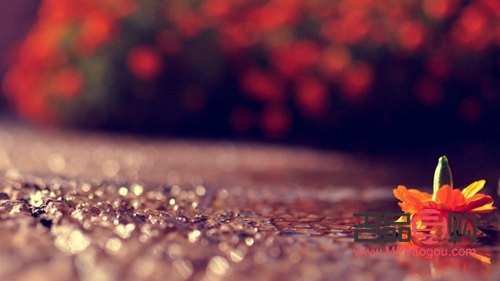 <h3>毕业礼物是否廉价？深情厚意无法用金钱衡量</h3>