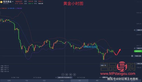 黄金期货走势图 实时行情(黄金期货走势图 实时行情分析)