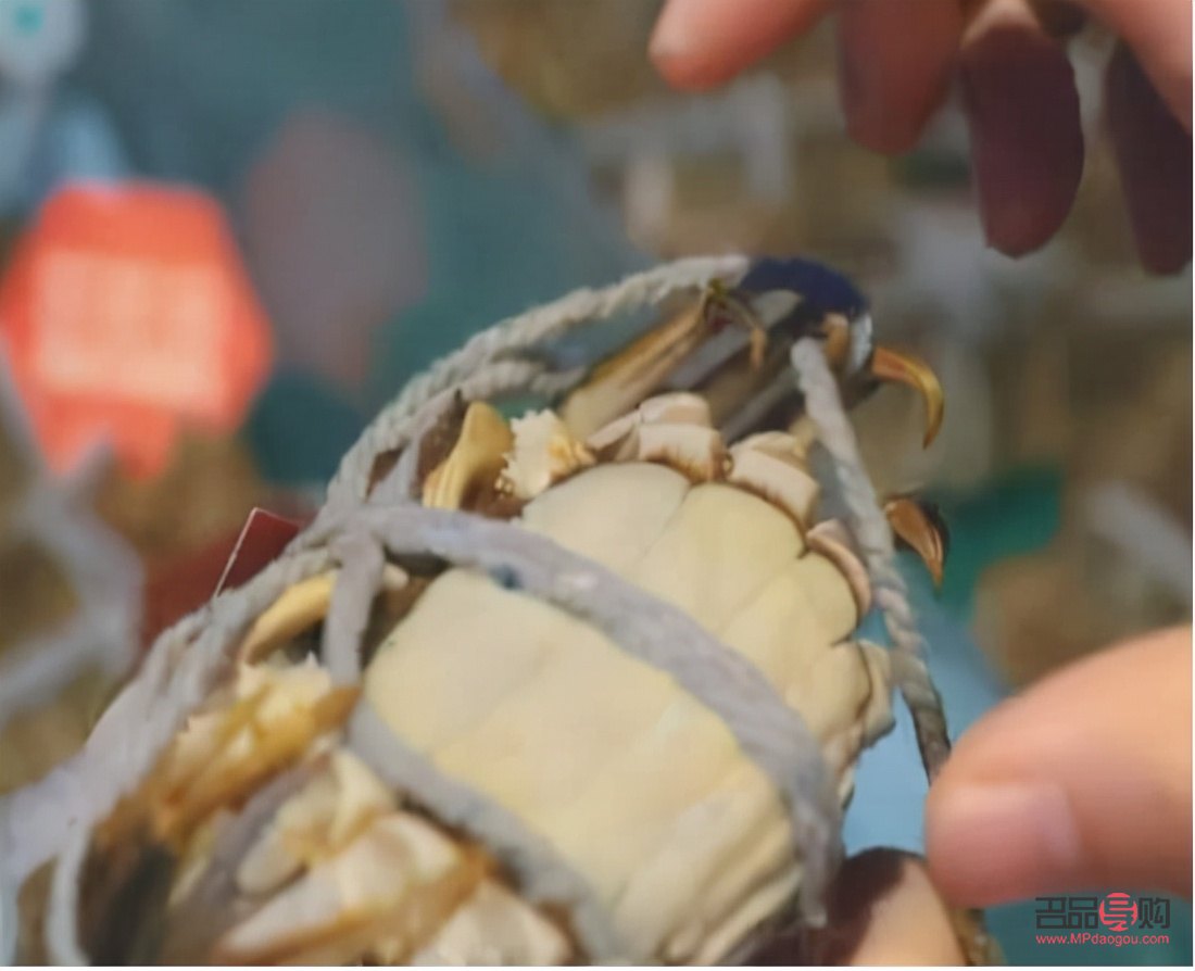 黄金期货交易中的重量查询指南