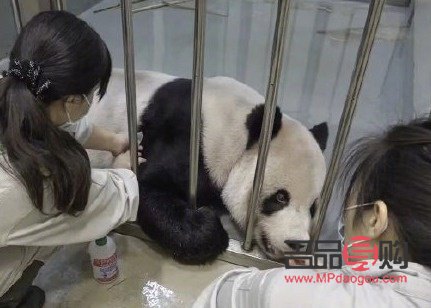 下午做身体护理好不好(下午做身体保健好吗)