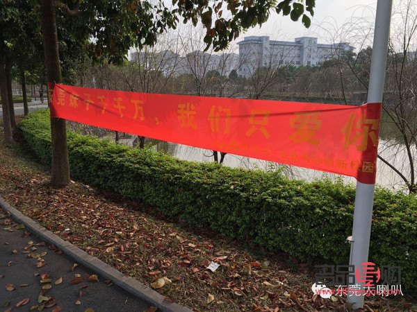 校园剧生日礼物是什么(校园剧生日礼物是什么)