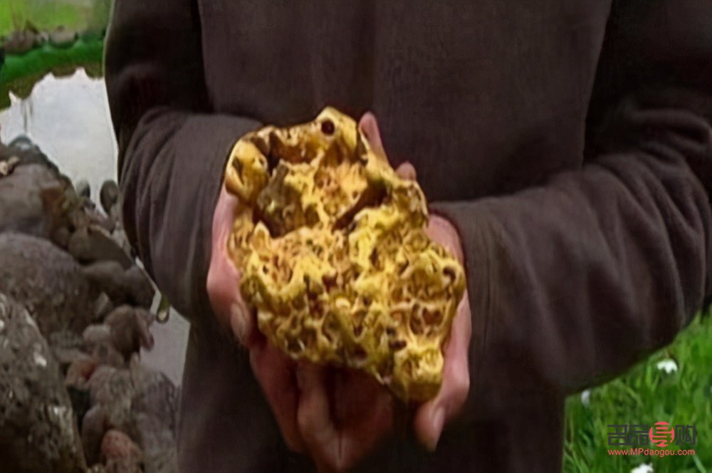 金店一般卖的是什么金(金店一般卖的是什么金子)