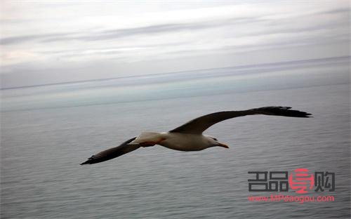 如何在家做美容图(如何在家做美容图片大全)