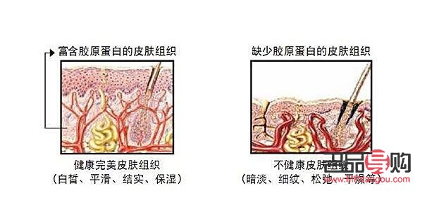 <h1>美容秘诀大揭秘：打造完美肌肤的日常必修课</h1>