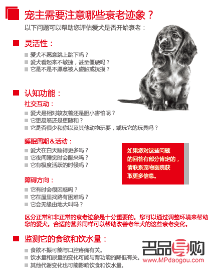 老狗健康护理全攻略