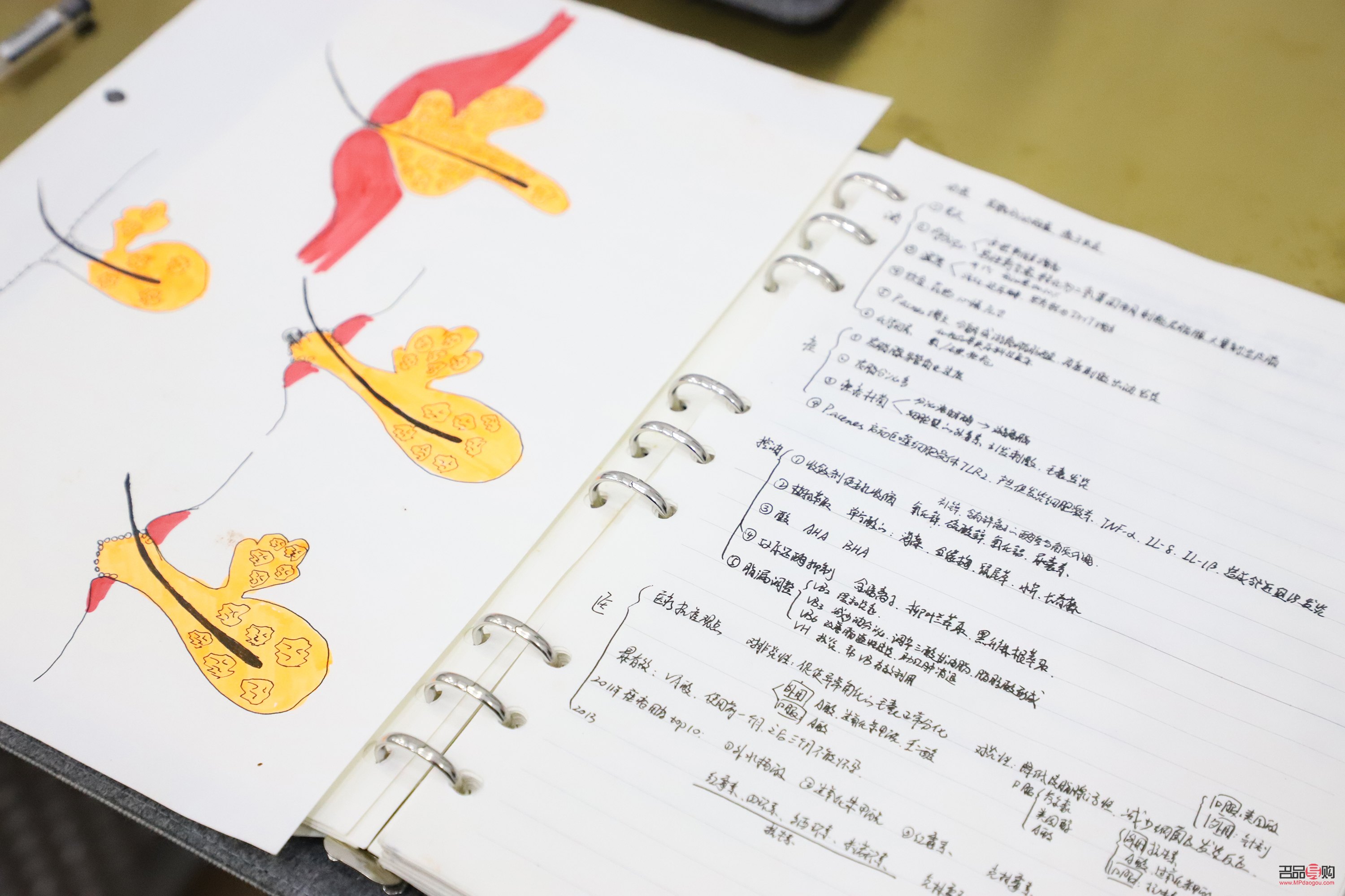 英语彩妆怎么写(彩妆用英语怎么写)