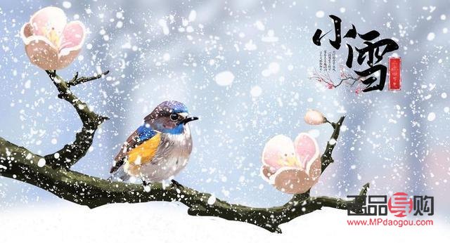 因为什么礼物小雪(因为什么礼物小雪可以送)