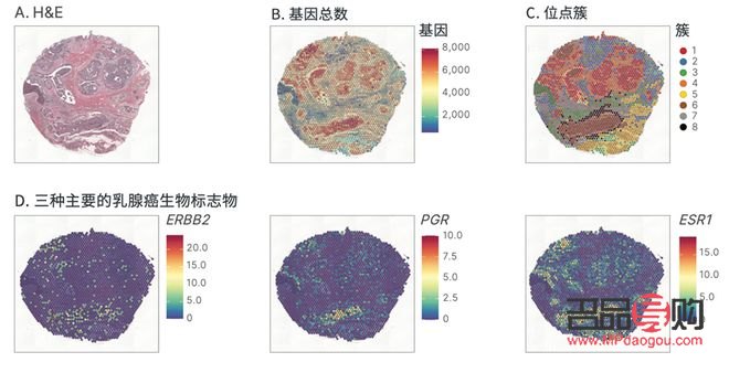 <h1>探索消除眼纹之道：最快最有效的方法大揭秘</h1>