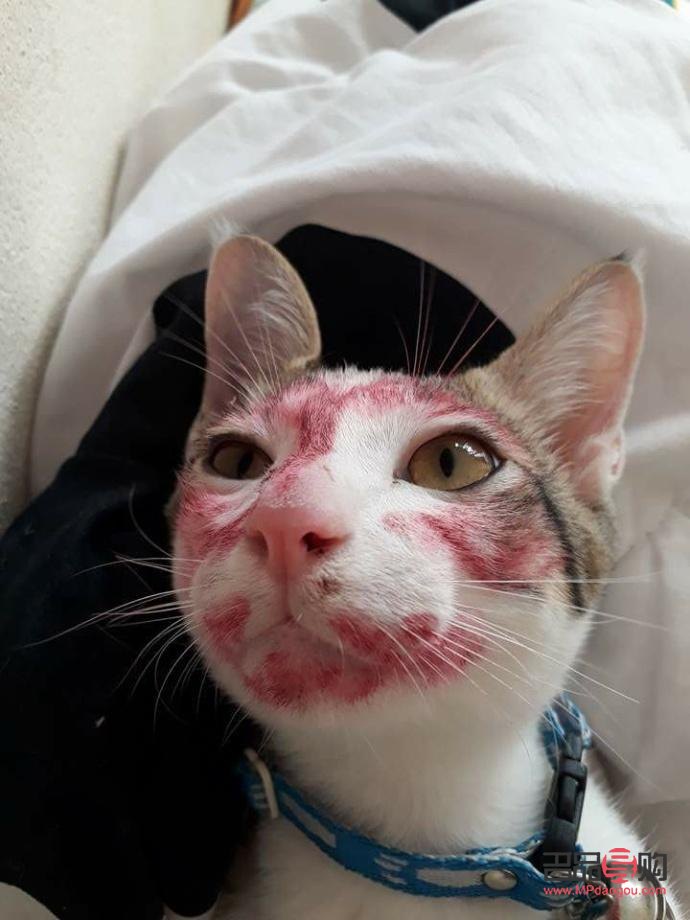 彩妆店铺如何摆放(彩妆店铺如何摆放好看)