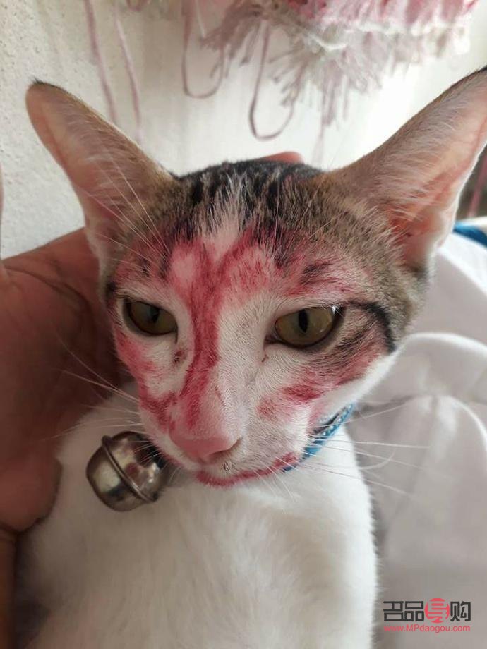 彩妆店铺如何摆放(彩妆店铺如何摆放好看)