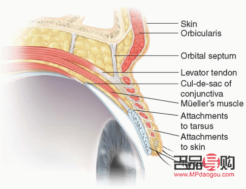 <h3>眼睛下面皱纹的微整方法</h3>