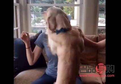 狗怎么做身体护理(狗怎么做身体护理视频)