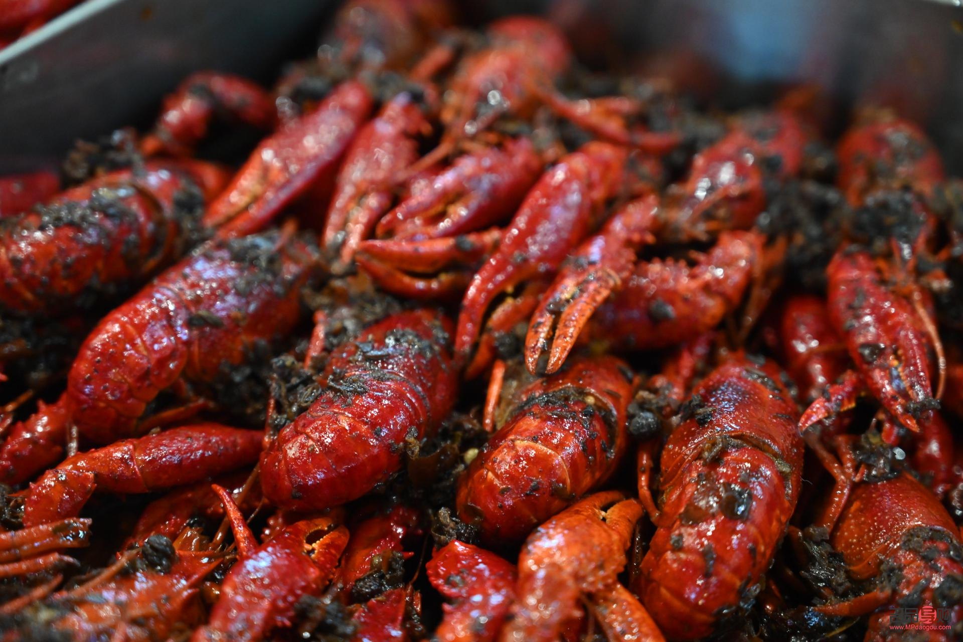 宁乡哪里回收黄金(宁乡哪里回收黄金最多)